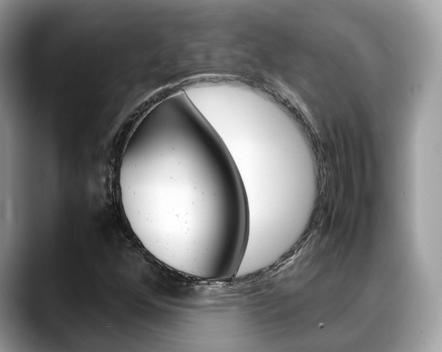 X0000088721352200705311049