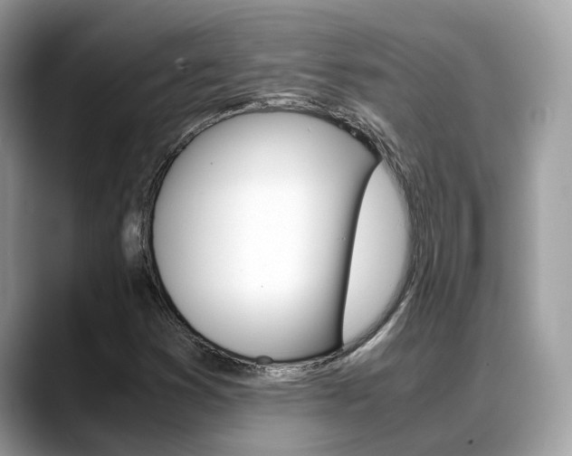 X0000088721353200705311049