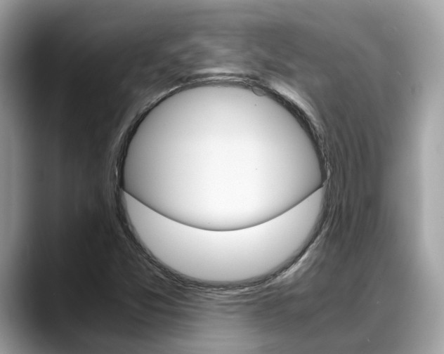 X0000088721357200705311049