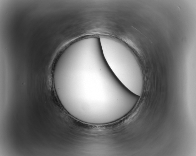 X0000088721358200705311049