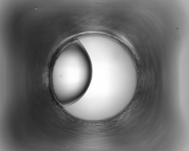 X0000088721360200705311049