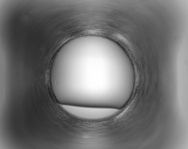 X0000088721361200705311049