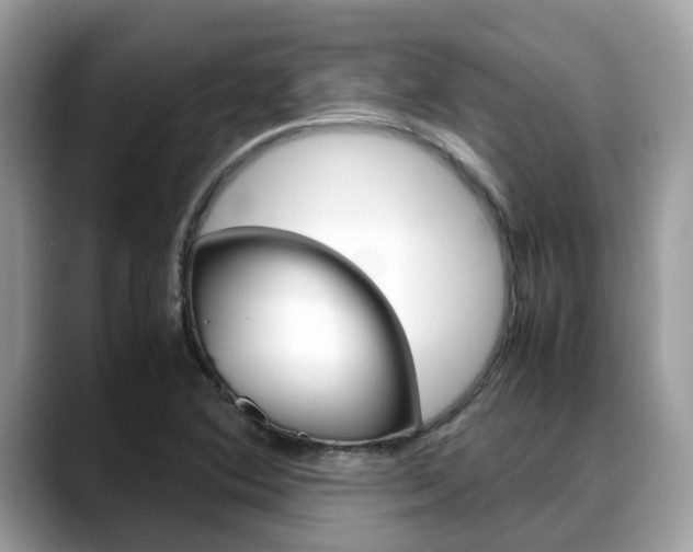 X0000088721364200705311049