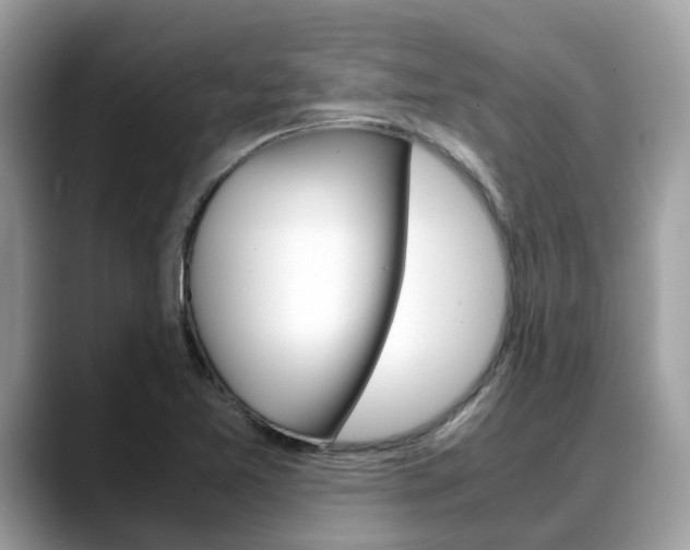 X0000088721365200705311049