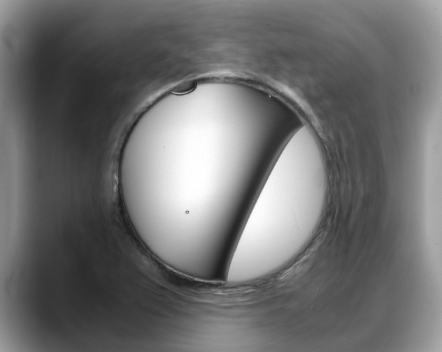 X0000088721367200705311049