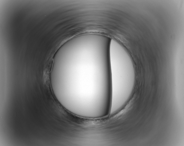 X0000088721369200705311049