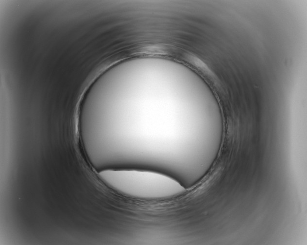 X0000088721370200705311049