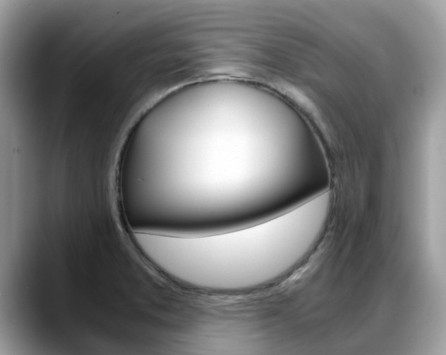 X0000088721373200705311049
