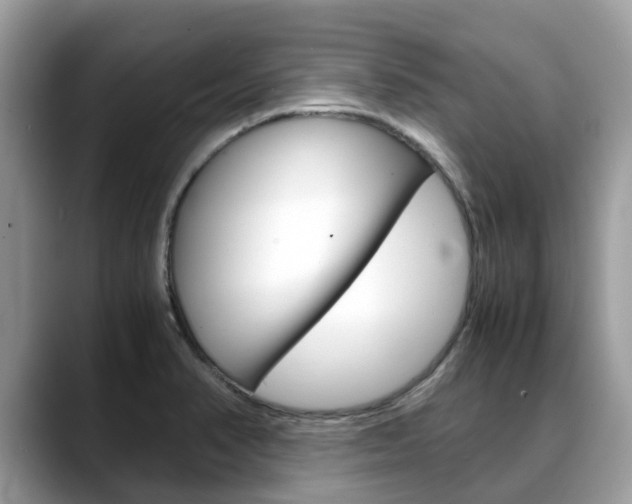 X0000088721374200705311049