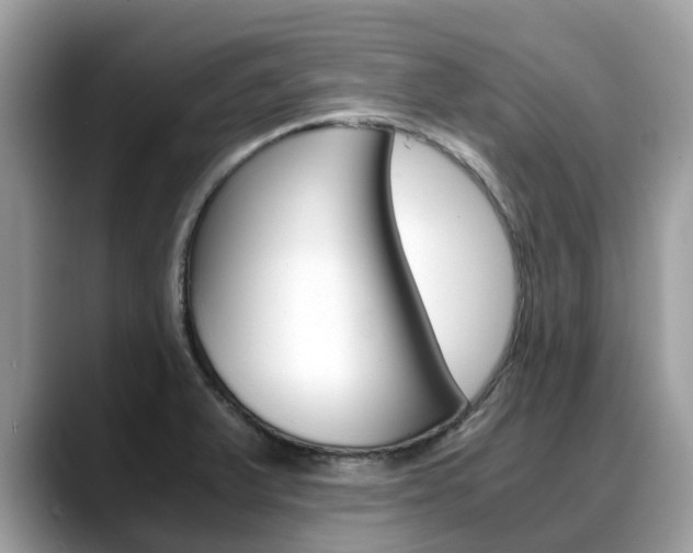 X0000088721375200705311049