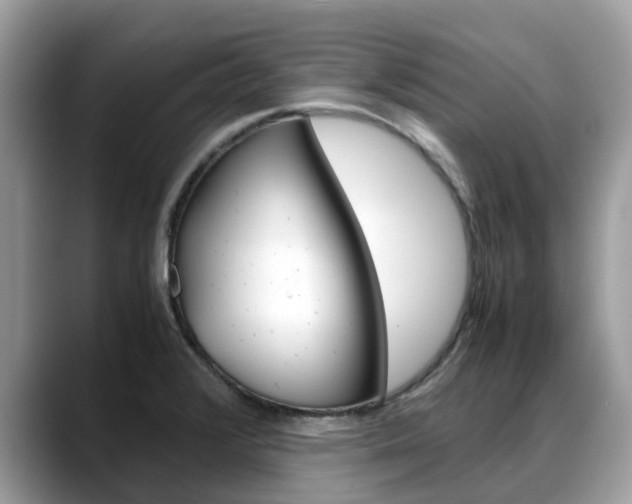 X0000088721376200705311049