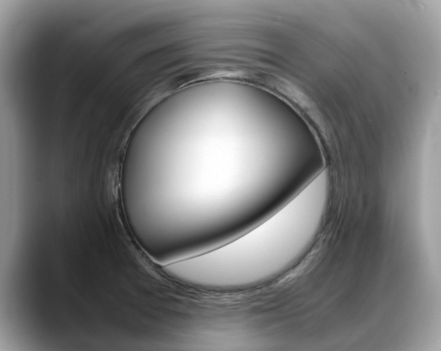 X0000088721377200705311049