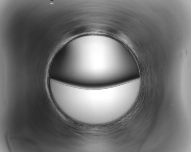 X0000088721379200705311049