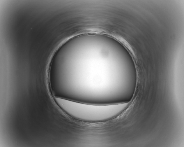 X0000088721381200705311049