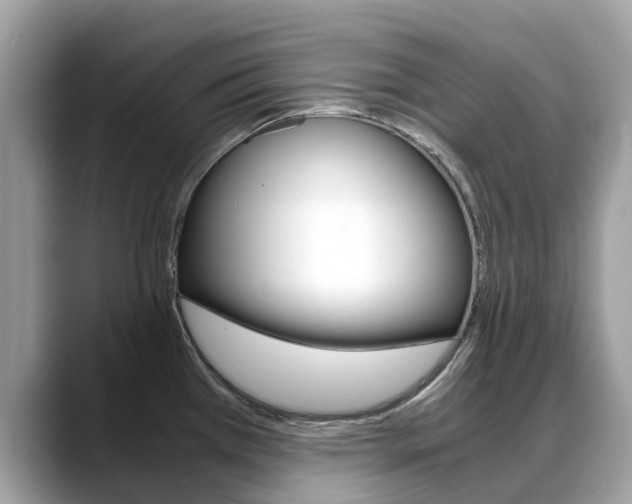 X0000088721385200705311049
