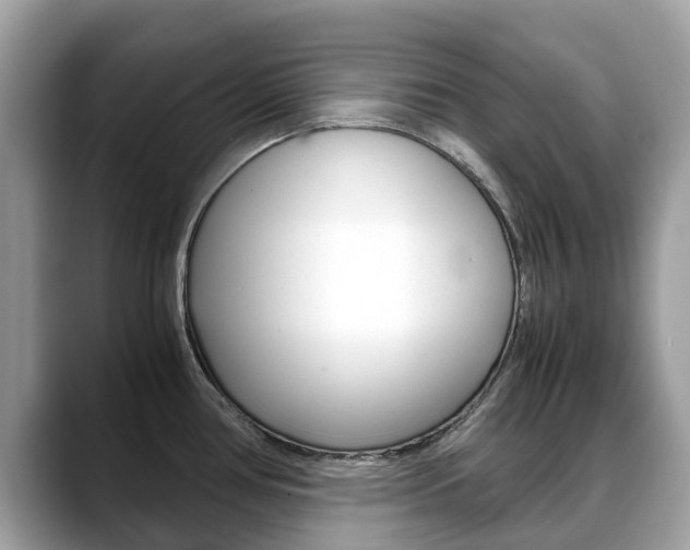 X0000088721386200705311049