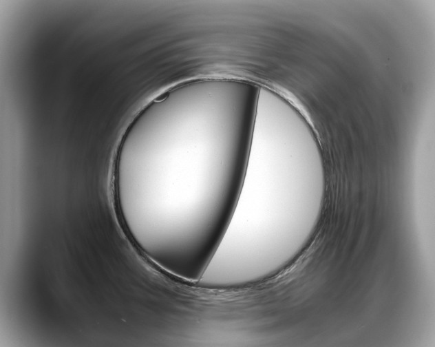 X0000088721387200705311049