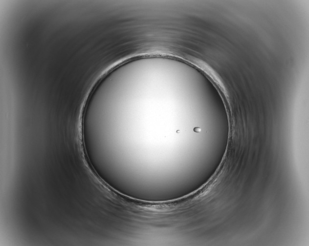 X0000088721388200705311049