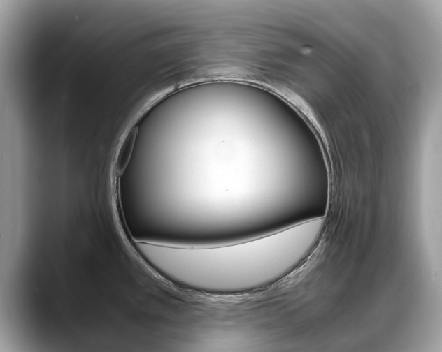 X0000088721389200705311049