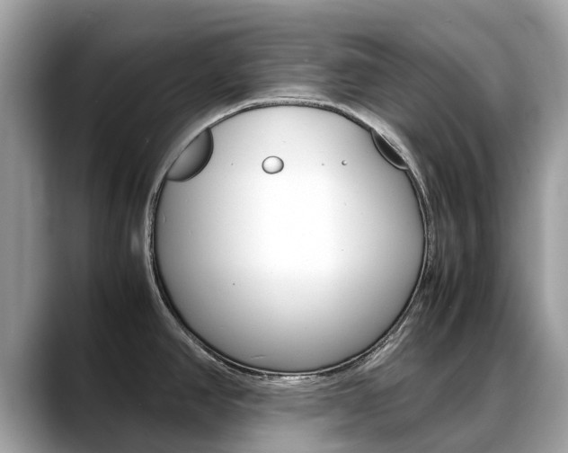 X0000088721390200705311049