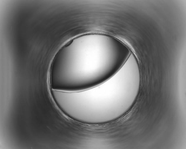X0000088721391200705311049