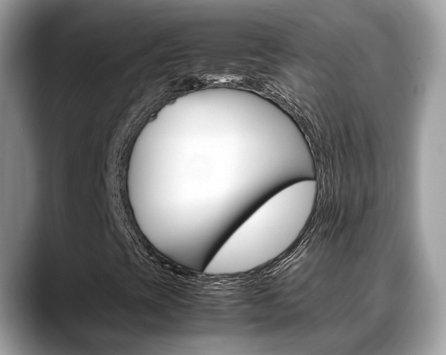 X0000088721393200705311048