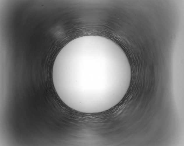 X0000088721394200705311048