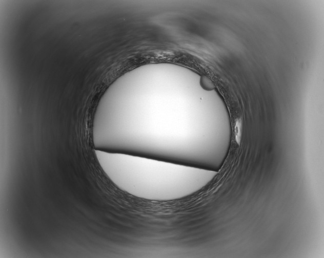 X0000088721395200705311048