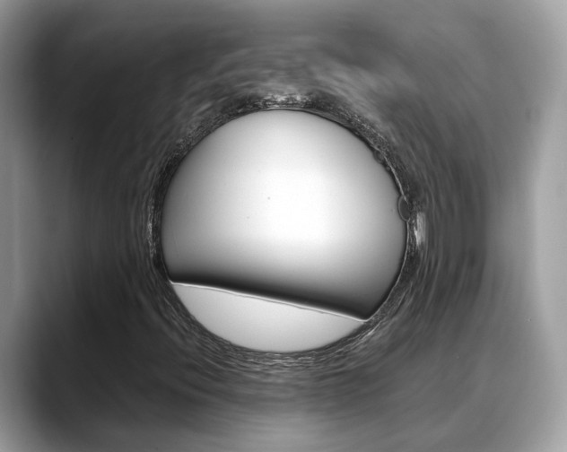 X0000088721396200705311048