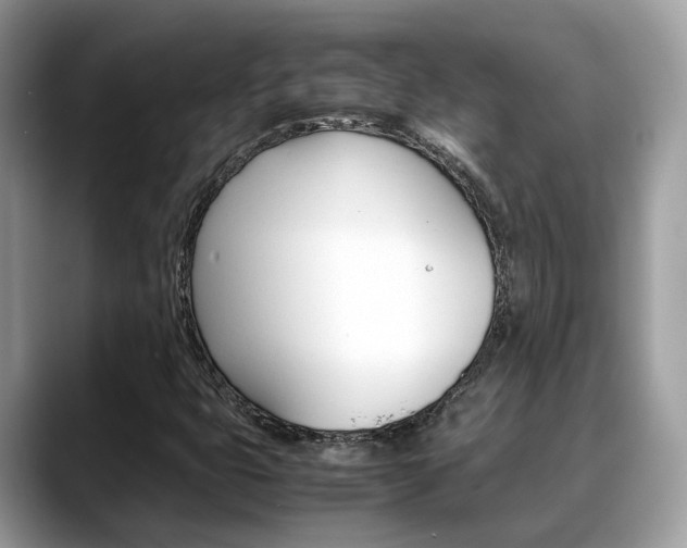 X0000088721399200705311048