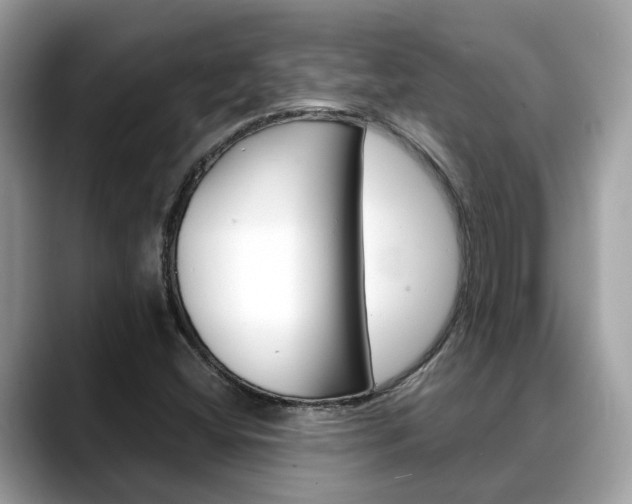 X0000088721404200705311048