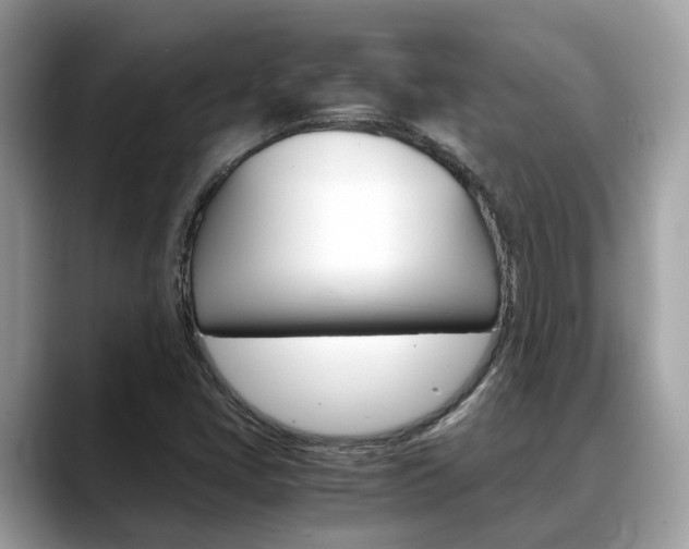 X0000088721405200705311048