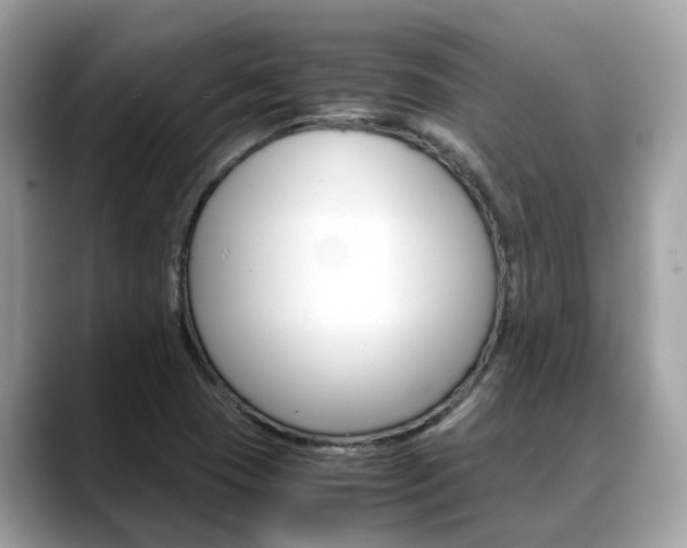 X0000088721409200705311048