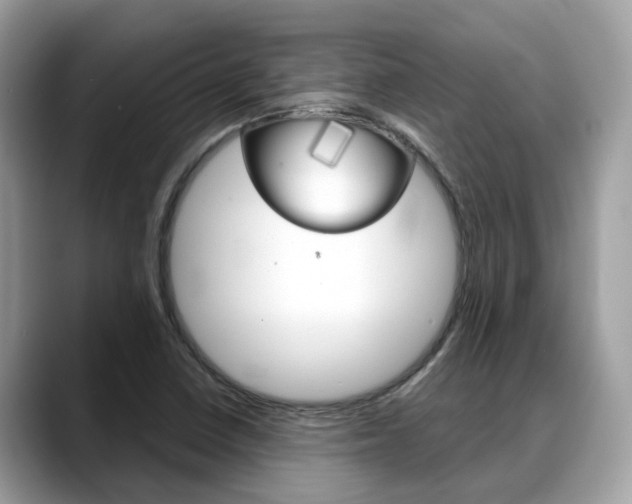 X0000088721410200705311048