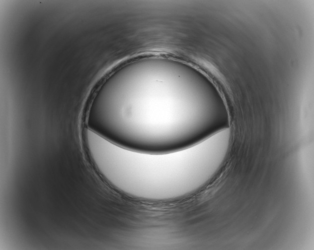 X0000088721412200705311048
