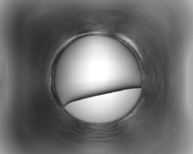 X0000088721415200705311048