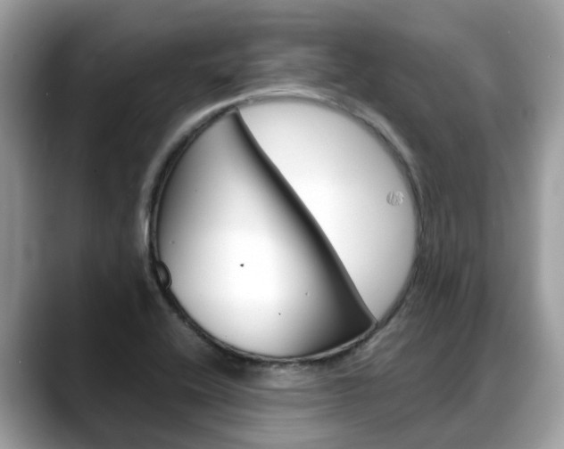 X0000088721416200705311048