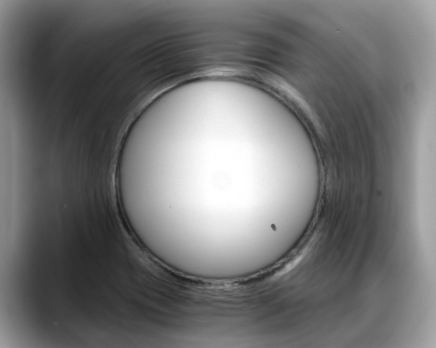 X0000088721417200705311048
