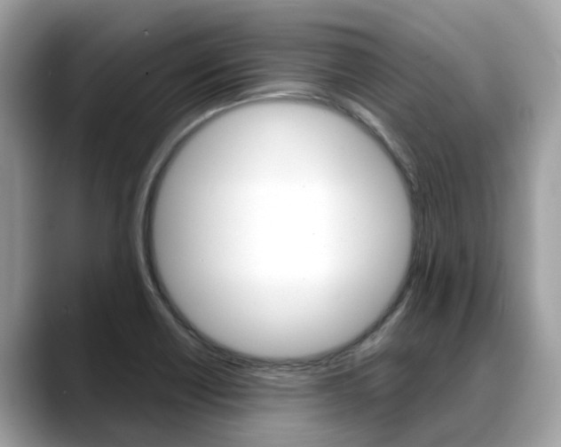 X0000088721418200705311048