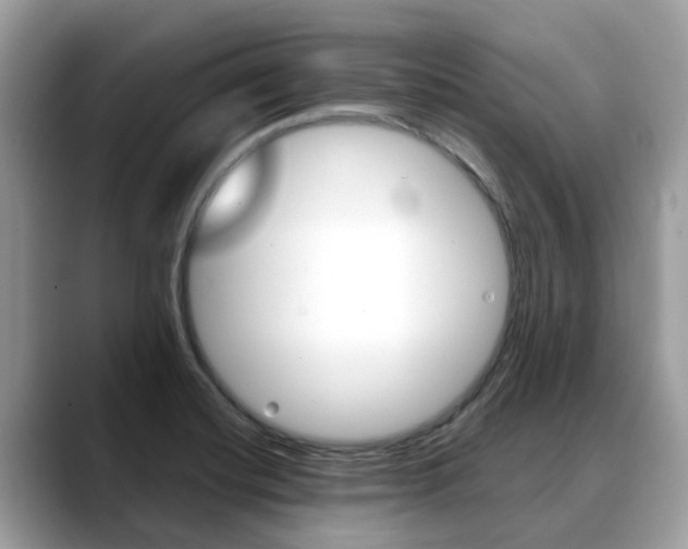 X0000088721420200705311048