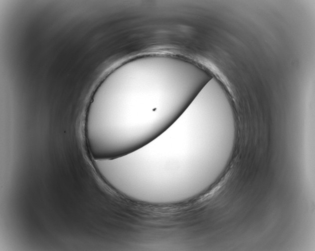 X0000088721421200705311048