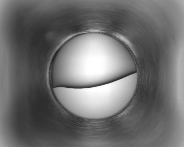 X0000088721423200705311048