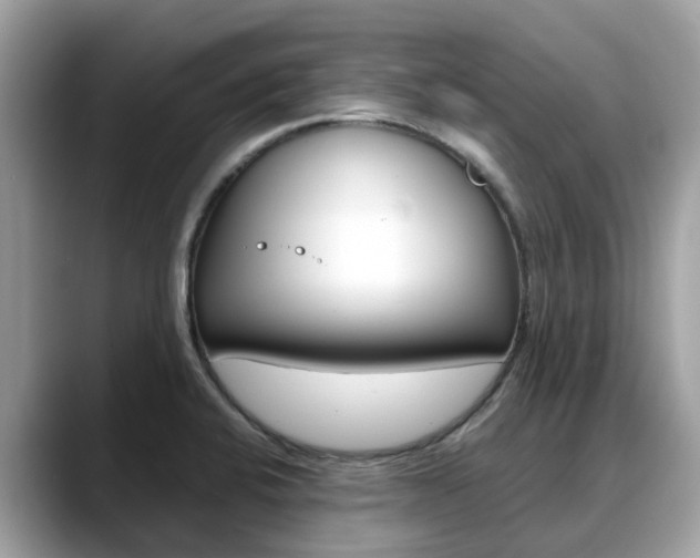 X0000088721424200705311048