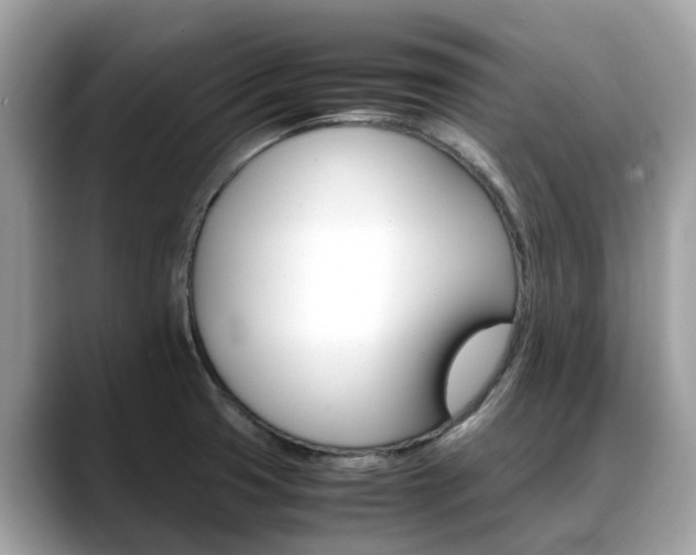 X0000088721425200705311049