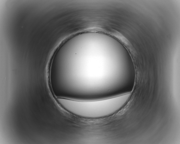 X0000088721430200705311049