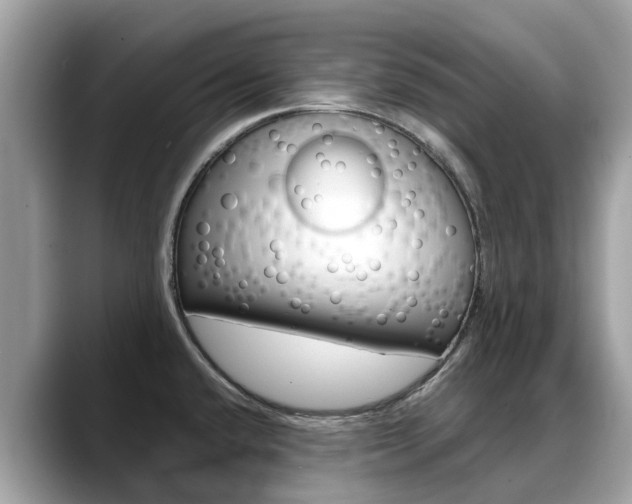 X0000088721432200705311049