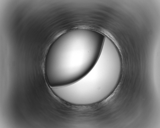 X0000088721433200705311049