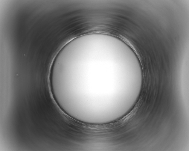 X0000088721434200705311049