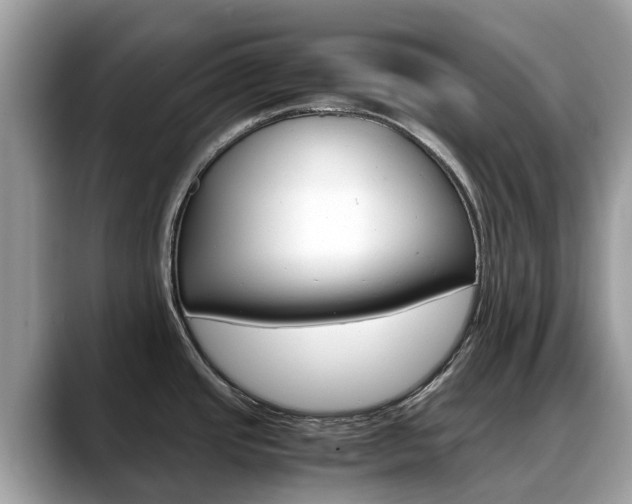 X0000088721437200705311049