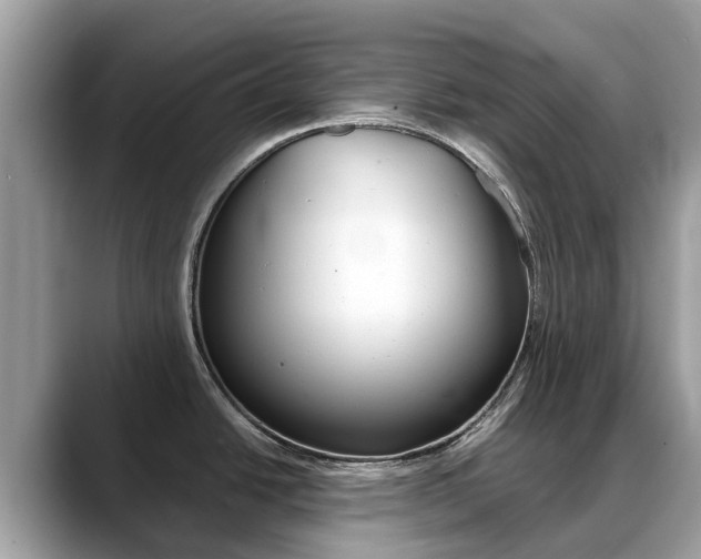 X0000088721438200705311049